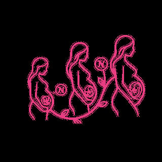 Pink line illustration of three pregnant women standing together on a black background