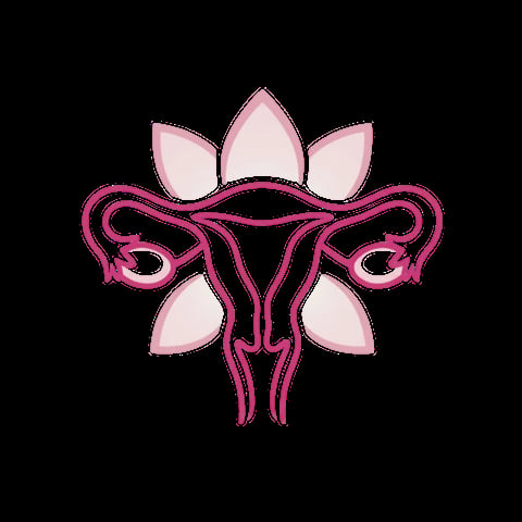 Anatomical diagram of female reproductive system with uterus and fallopian tubes in pink outline on black background